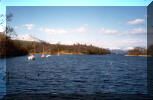 lake10.jpg (120392 bytes)