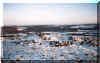 panorama1-6.jpg (212402 bytes)