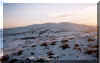 panorama1-9.jpg (163395 bytes)