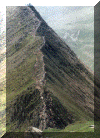stride2.gif (282430 bytes)
